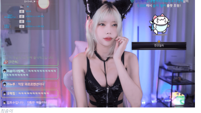 트위치 스트리머 최솜이