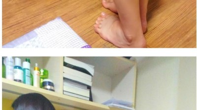 현실적인 돌핀
