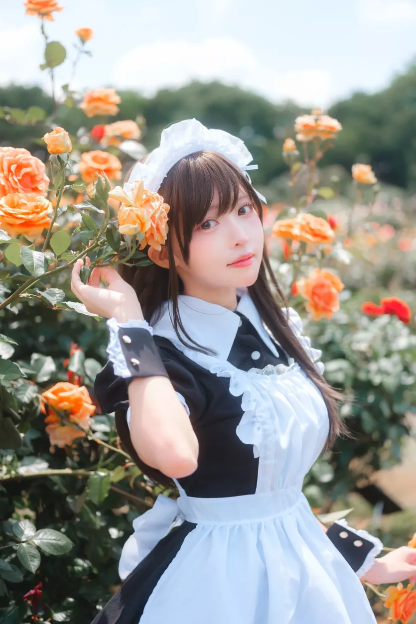 05a92a84ff924051b627a3e9b1dce527_1746949480_3394.webp