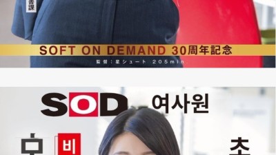엄청난 기획 SOD 30주년 기념작품