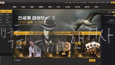 백호 먹튀 사례: 피해 보고 및 검증