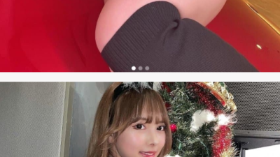 이가라시 세이란 꼭 보세요